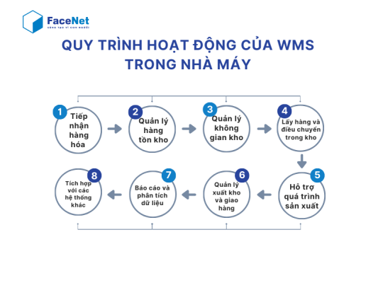 quy trình hoạt động của WMS